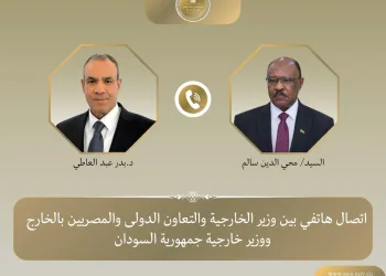 Egyptian, Sudanese FMs stress strong bilateral ties