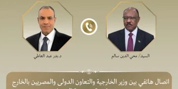 Egyptian, Sudanese FMs stress strong bilateral ties