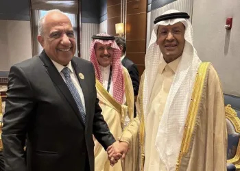 Egypt to launch 3,000MW electricity link with Saudi Arabia