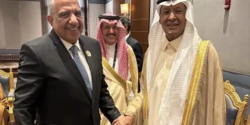 Egypt to launch 3,000MW electricity link with Saudi Arabia