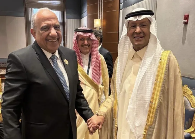 Egypt to launch 3,000MW electricity link with Saudi Arabia 10 - Egyptian Gazette