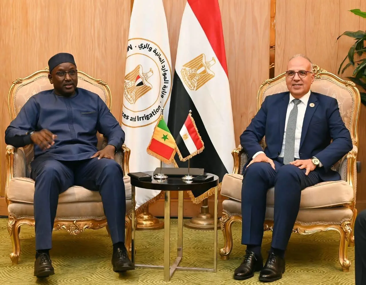 Cairo, Dakar step up African water co-operation ahead of UN conf.