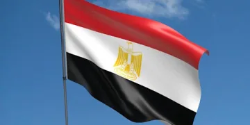 Egypt backs EU Parliament call to list Muslim Brotherhood