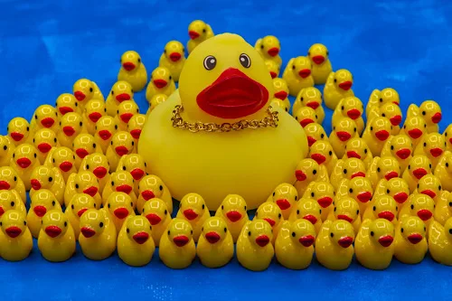 Rubber duck carries threads of American history in its ‘feathers’
