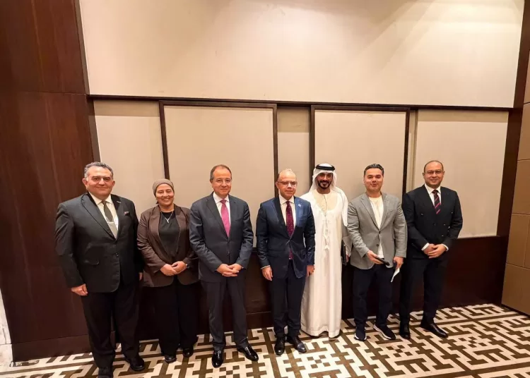 Egypt, UAE keen to expand investment co-operation 12 - Egyptian Gazette