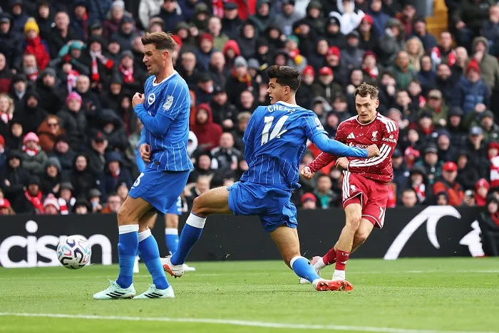 EPL: Liverpool secure win over Brighton 18 - Egyptian Gazette EPL: Liverpool secure win over Brighton 17 - Egyptian Gazette