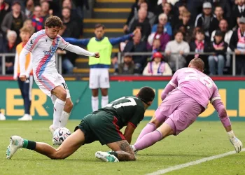 EPL: Palace beat Forest, Hull hold Everton