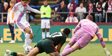 EPL: Palace beat Forest, Hull hold Everton