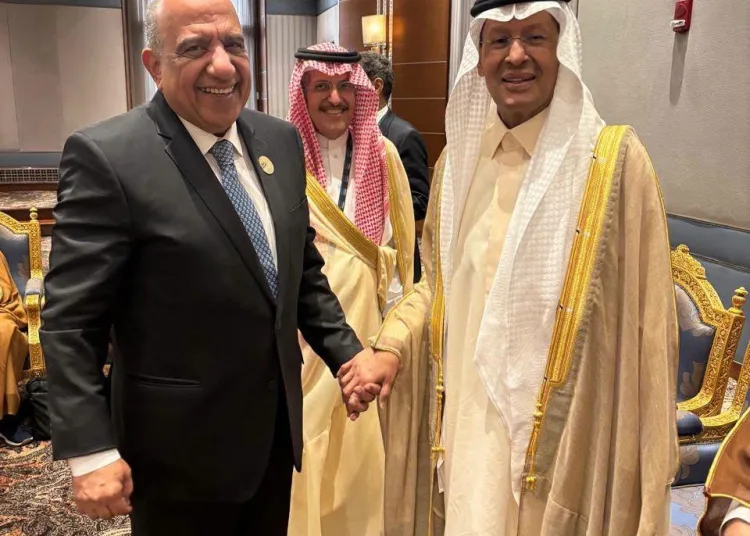 Egypt to launch 3,000MW electricity link with Saudi Arabia 11 - Egyptian Gazette