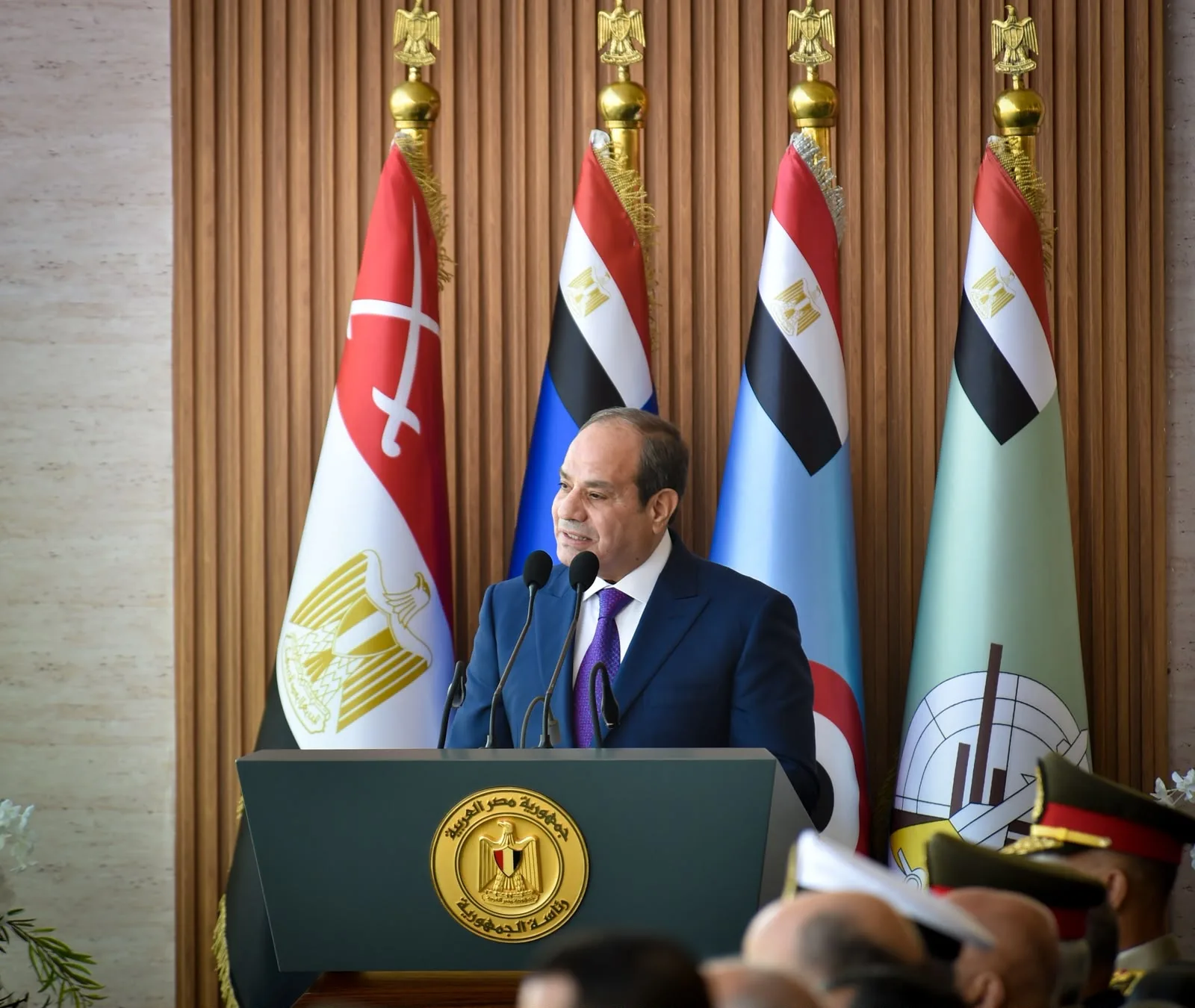 Sisi: Protecting nation shared responsibility, strong institutions essential to state stability