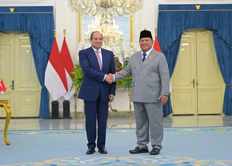 Sisi, Prabowo target $5b in Egypt-Indonesia trade by 2030 11 - Egyptian Gazette