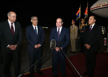 Sisi says 20 agreements signed during Asian tour