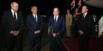 Sisi says 20 agreements signed during Asian tour 1 - Egyptian Gazette Sisi says 20 agreements signed during Asian tour