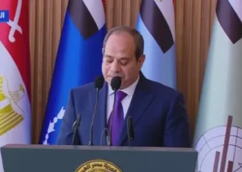 Sisi: No constitutional amendments; presidential term ends in 2030