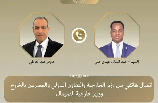 Cairo, Mogadishu discuss developments in Horn of Africa, Red Sea developments