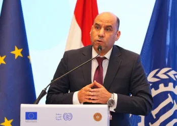 Egypt seeks to safeguard rights of Egyptian expats