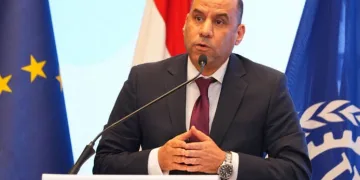Egypt seeks to safeguard rights of Egyptian expats