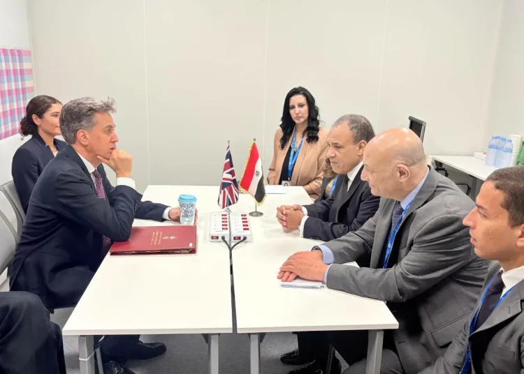 Egypt, UK FMs discuss bilateral ties, regional developments 11 - Egyptian Gazette