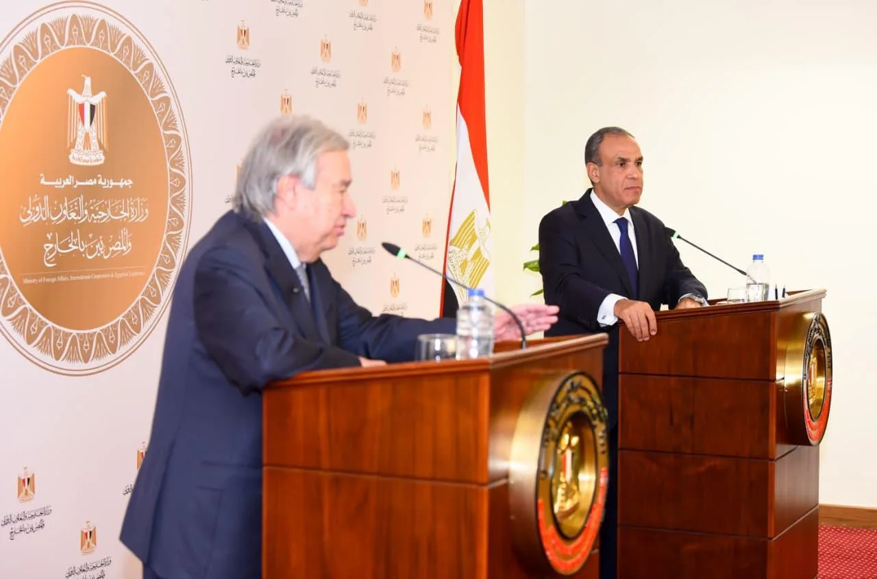 Egyptian FM, UN chief discuss regional crises, UN reforms