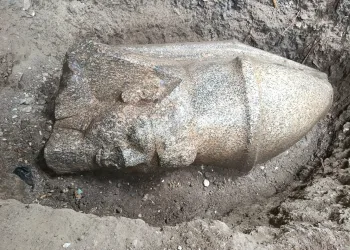 Farmer’s discovery in the Nile Delta puts Ramesses II back in the spotlight