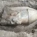 A farmer’s discovery brings Ramesses II back into view in Egypt’s Nile Delta
