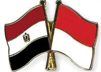 Egypt, Indonesia pledge to strengthen strategic partnership