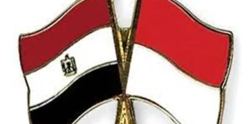 Egypt, Indonesia pledge to strengthen strategic partnership