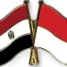 Egypt, Indonesia pledge to strengthen strategic partnership