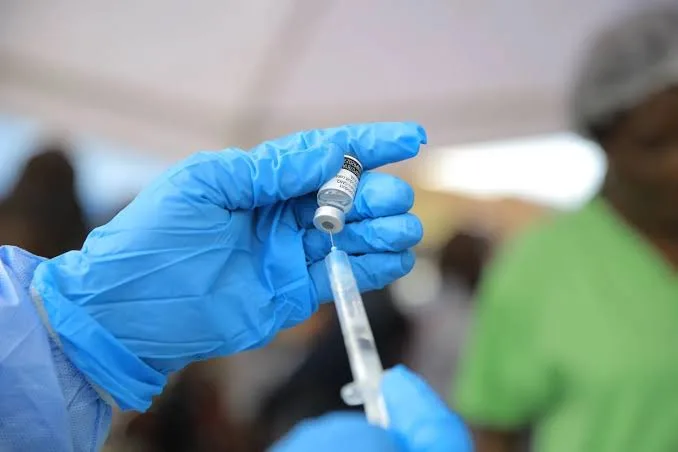 France reports 1st human case of livestock virus Shamonda