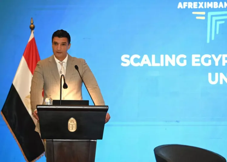 Egypt to expand industrial co-operation with African countries 12 - Egyptian Gazette