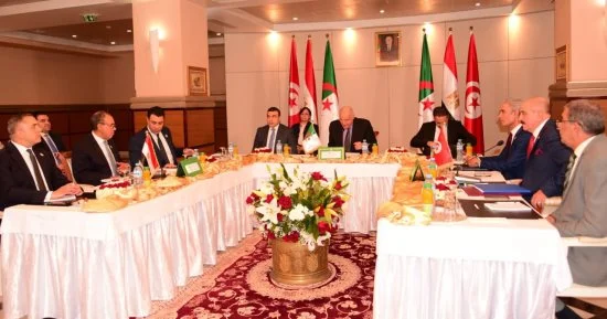 Egypt, Algeria and Tunisia call for Libyan-led political settlement