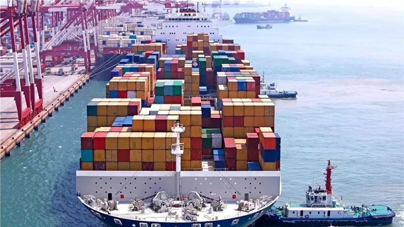Egypt’s foreign trade rises 24.7% in August 2026