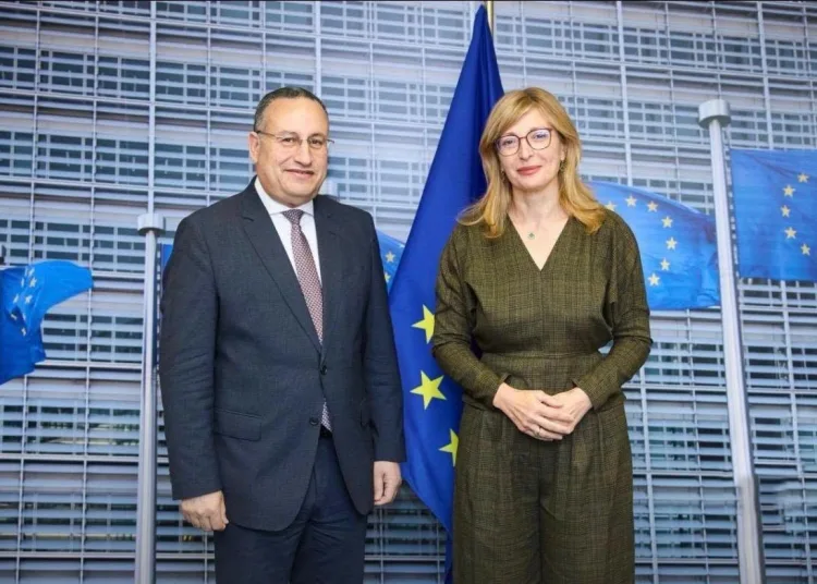 Egypt, EU discuss research, startup co-operation 12 - Egyptian Gazette