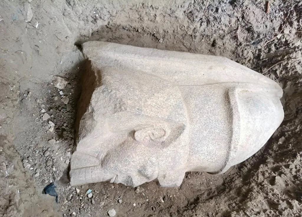 Farmer’s discovery in the Nile Delta puts Ramesses II back in the spotlight 14 - Egyptian Gazette