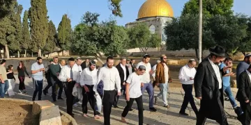Aqsa