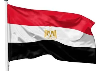Egyptian Armed Forces continue campaign against illegal gold mining in Eastern Desert