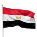 Egyptian Armed Forces continue campaign against illegal gold mining in Eastern Desert